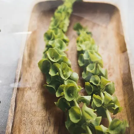 Entre Deux Pays Apartamento *